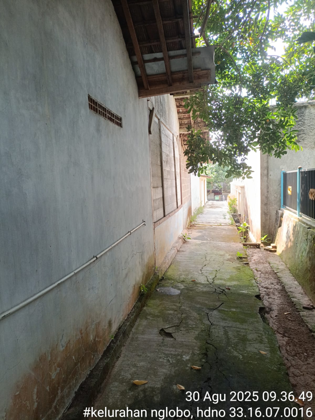 Tampak Belakang