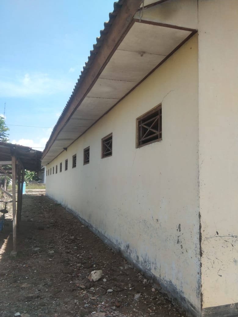 Tampak Belakang