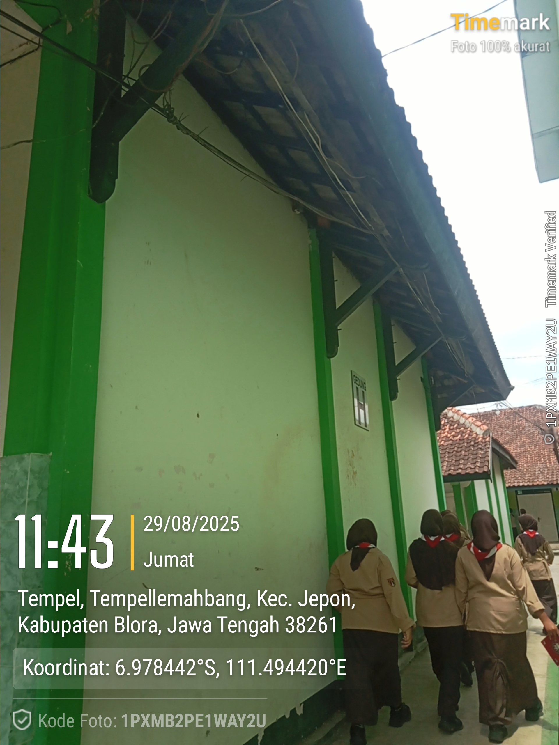 Tampak Belakang