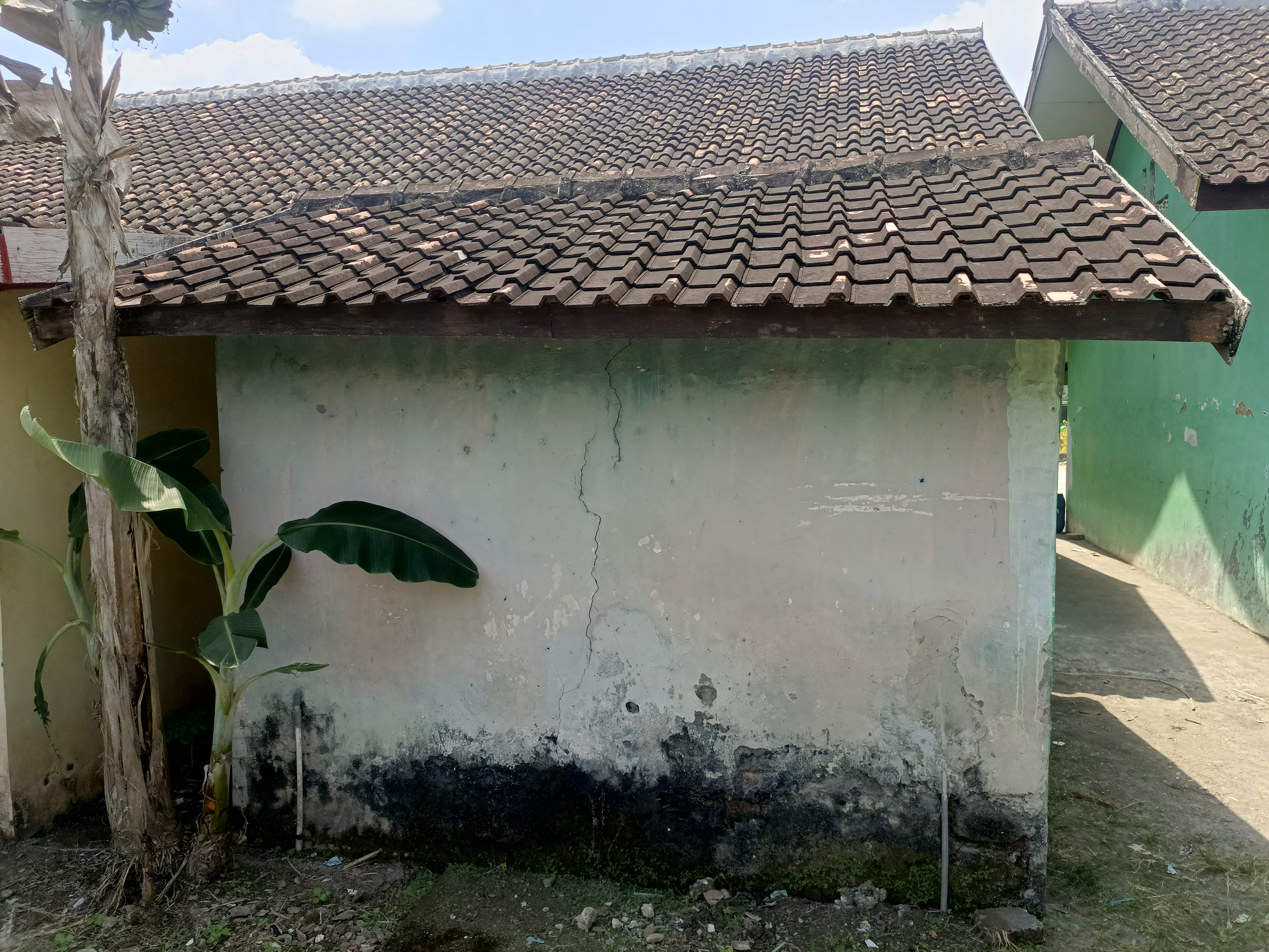 Tampak Belakang