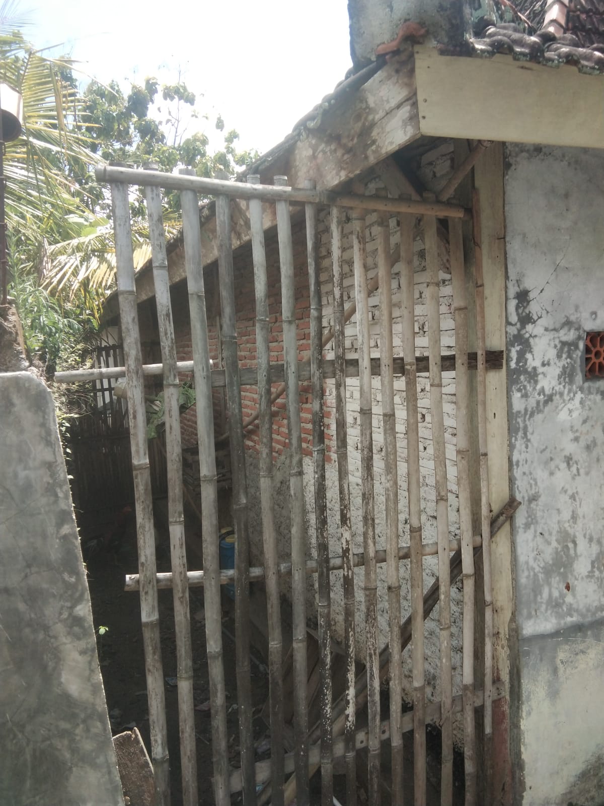 Tampak Belakang