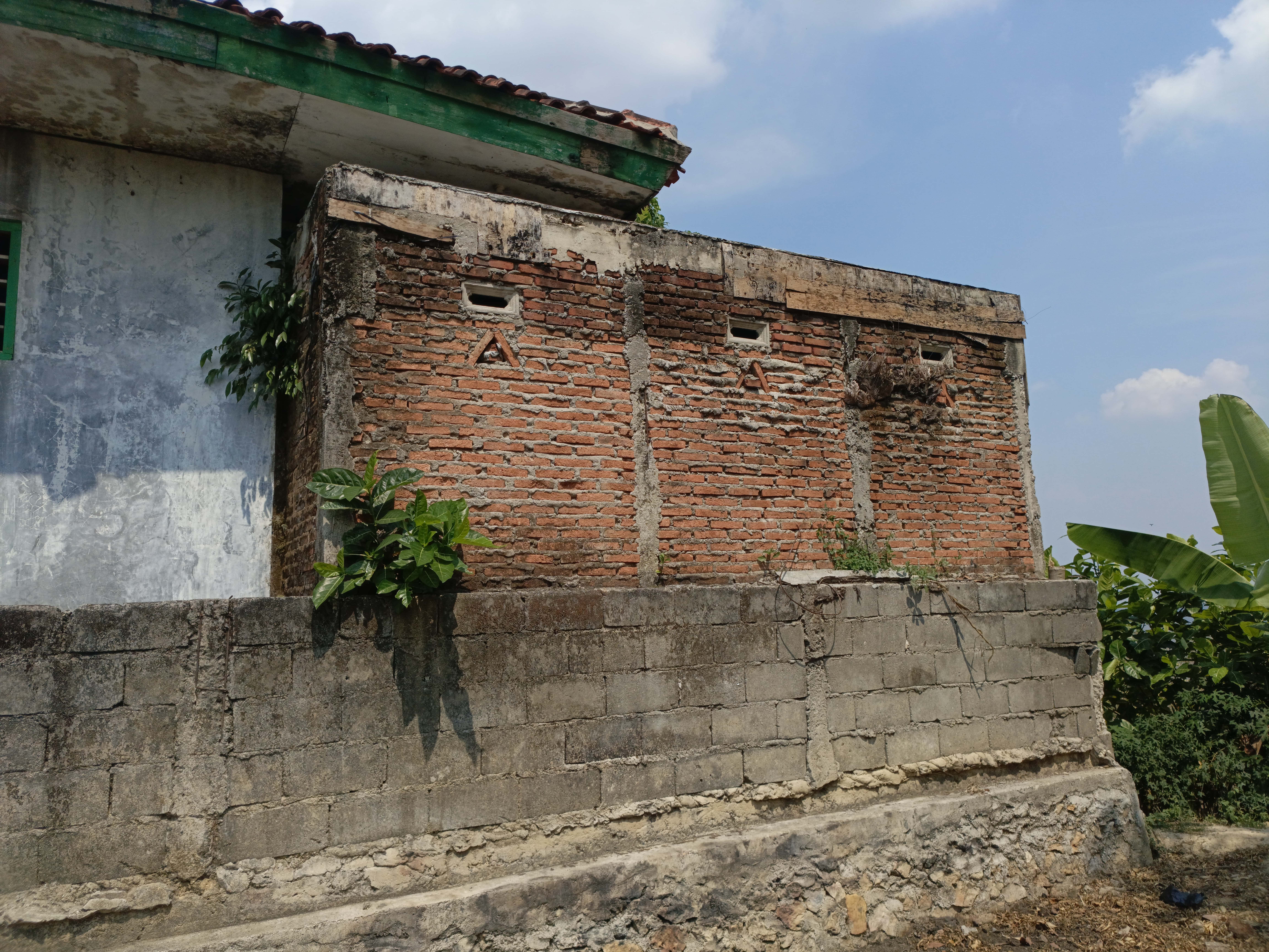 Tampak Belakang