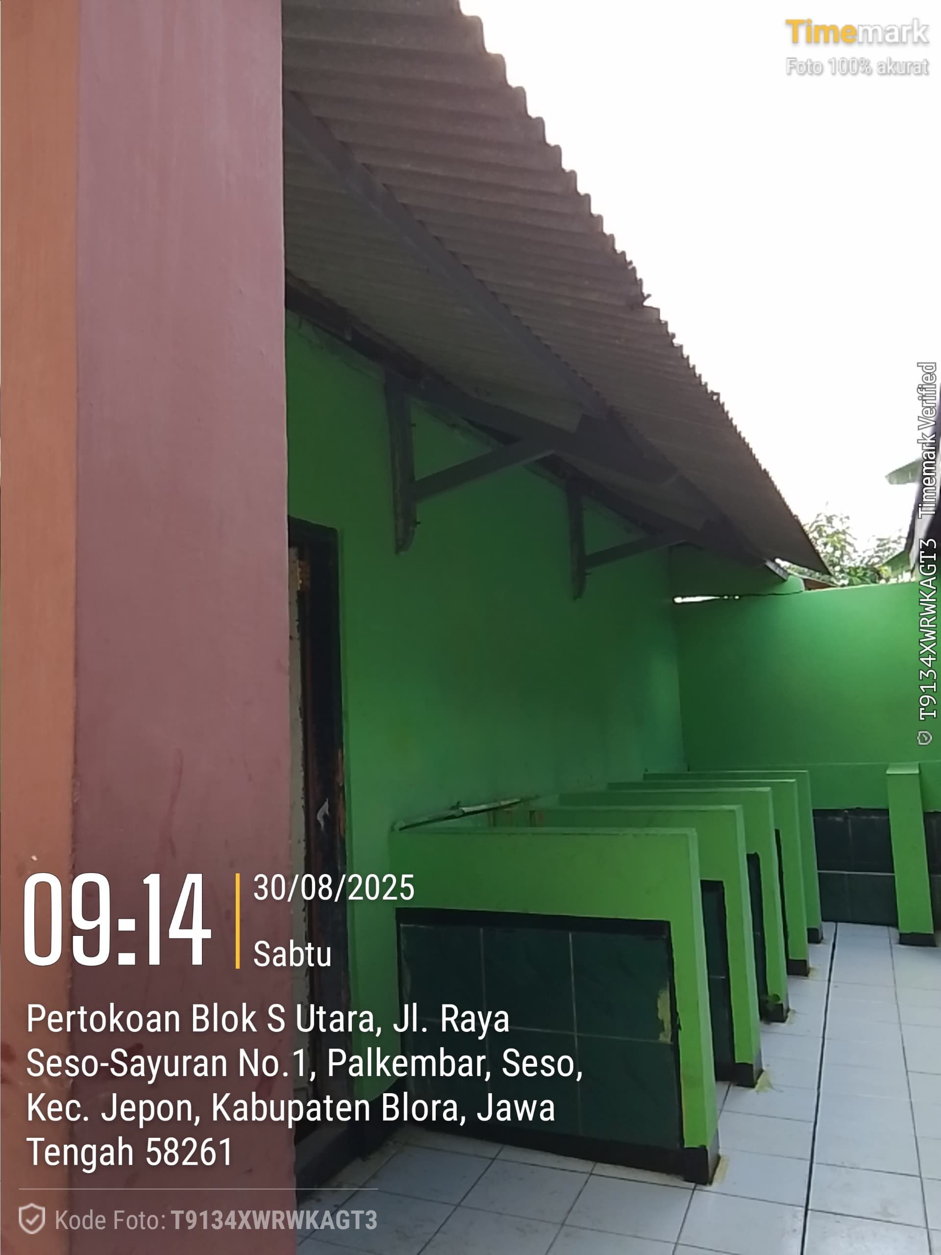 Tampak Belakang