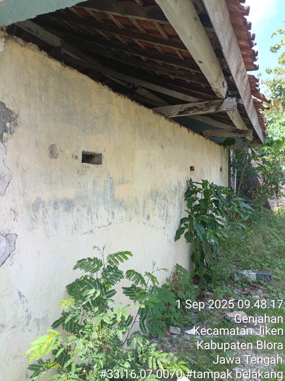 Tampak Belakang