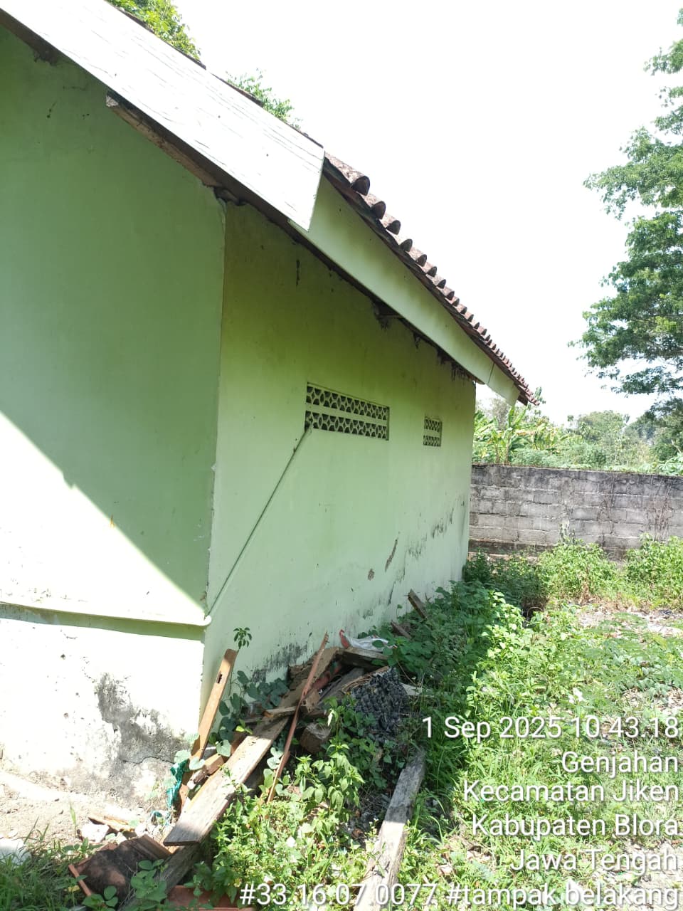 Tampak Belakang