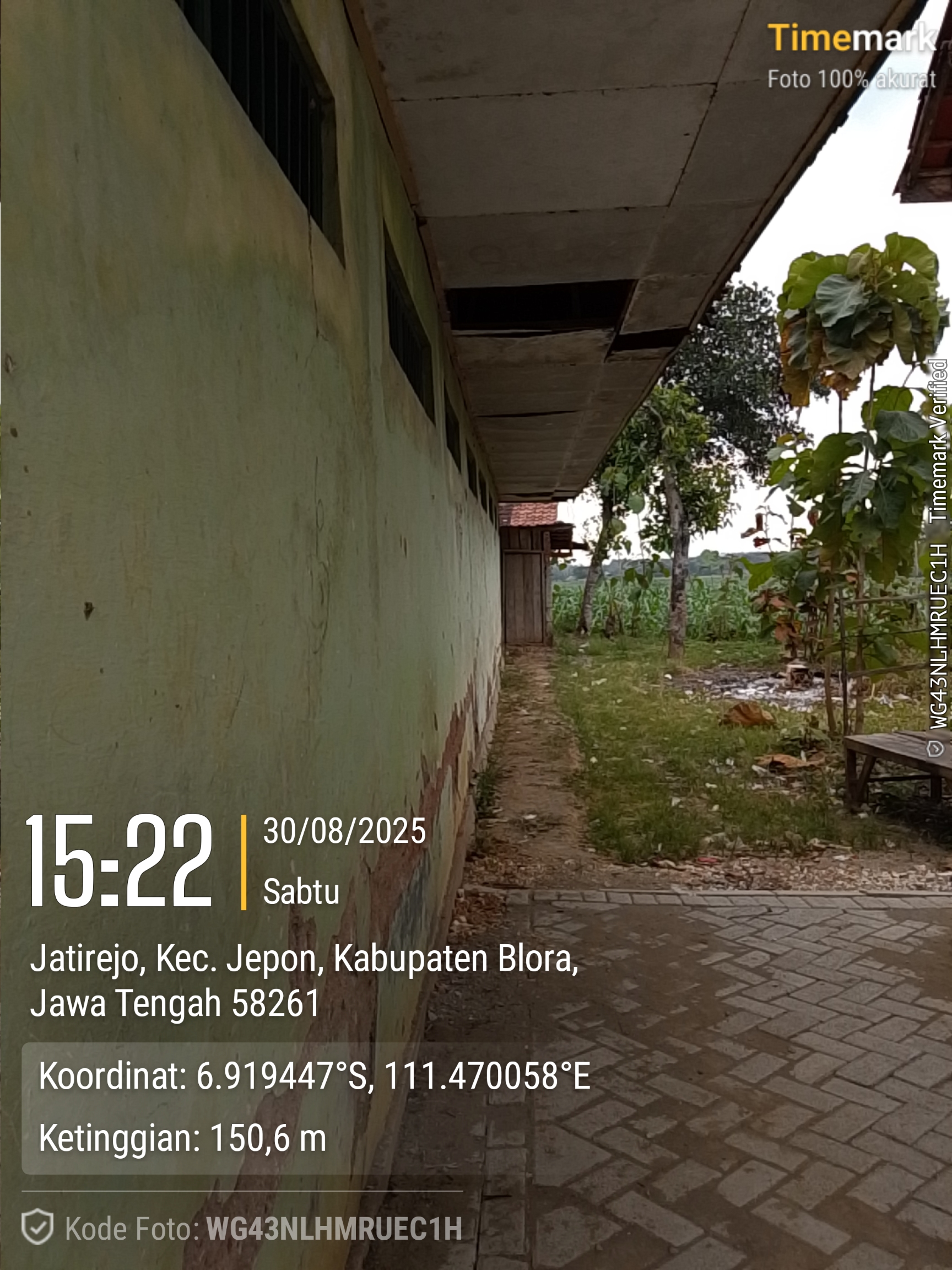 Tampak Belakang