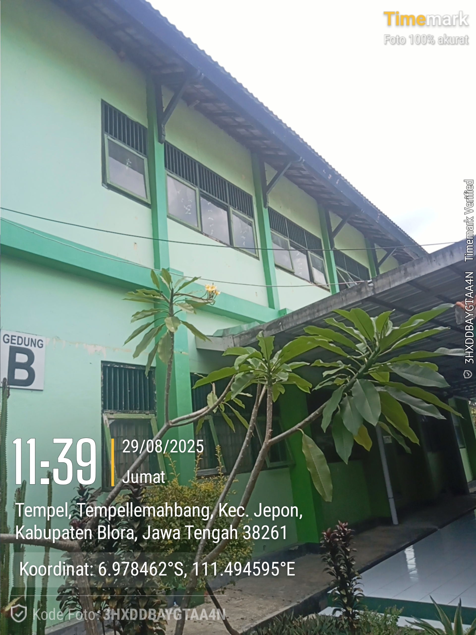 Tampak Belakang
