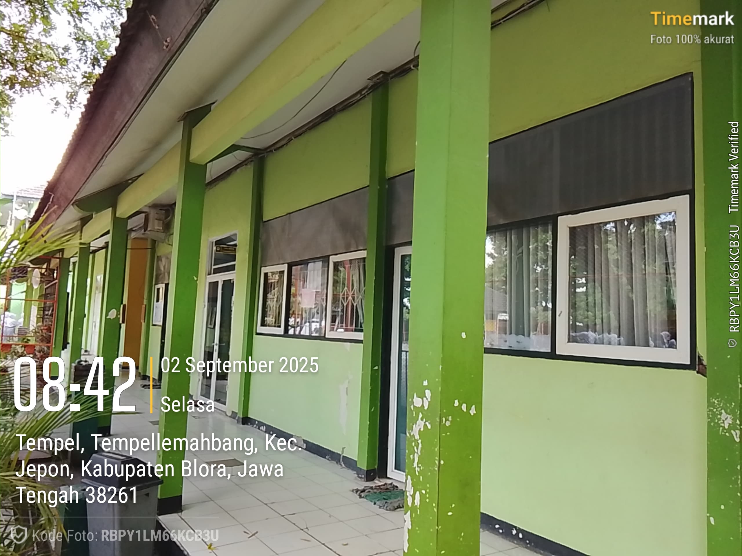 Tampak Belakang