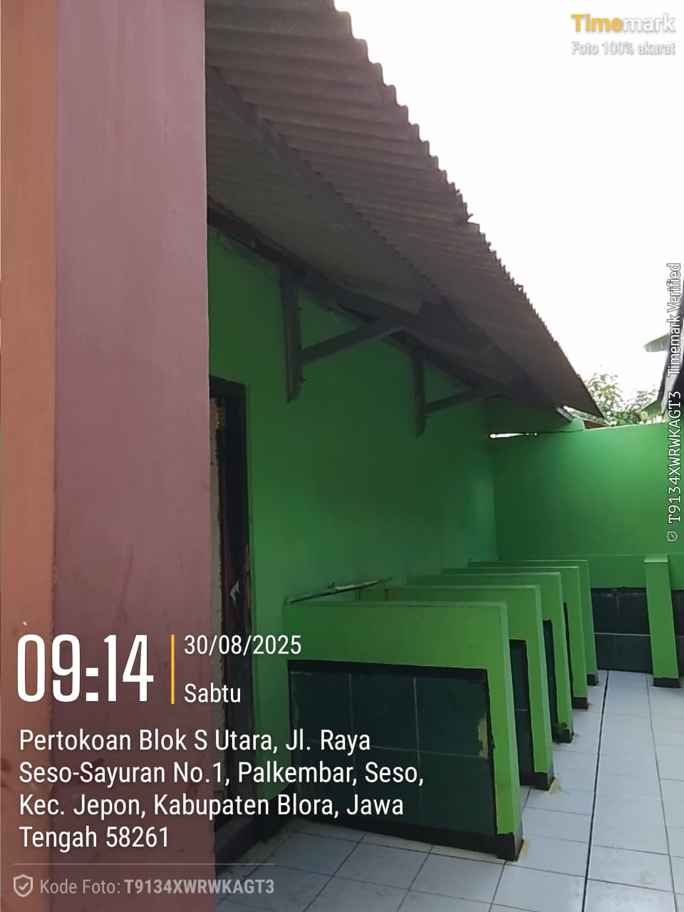 Tampak Belakang