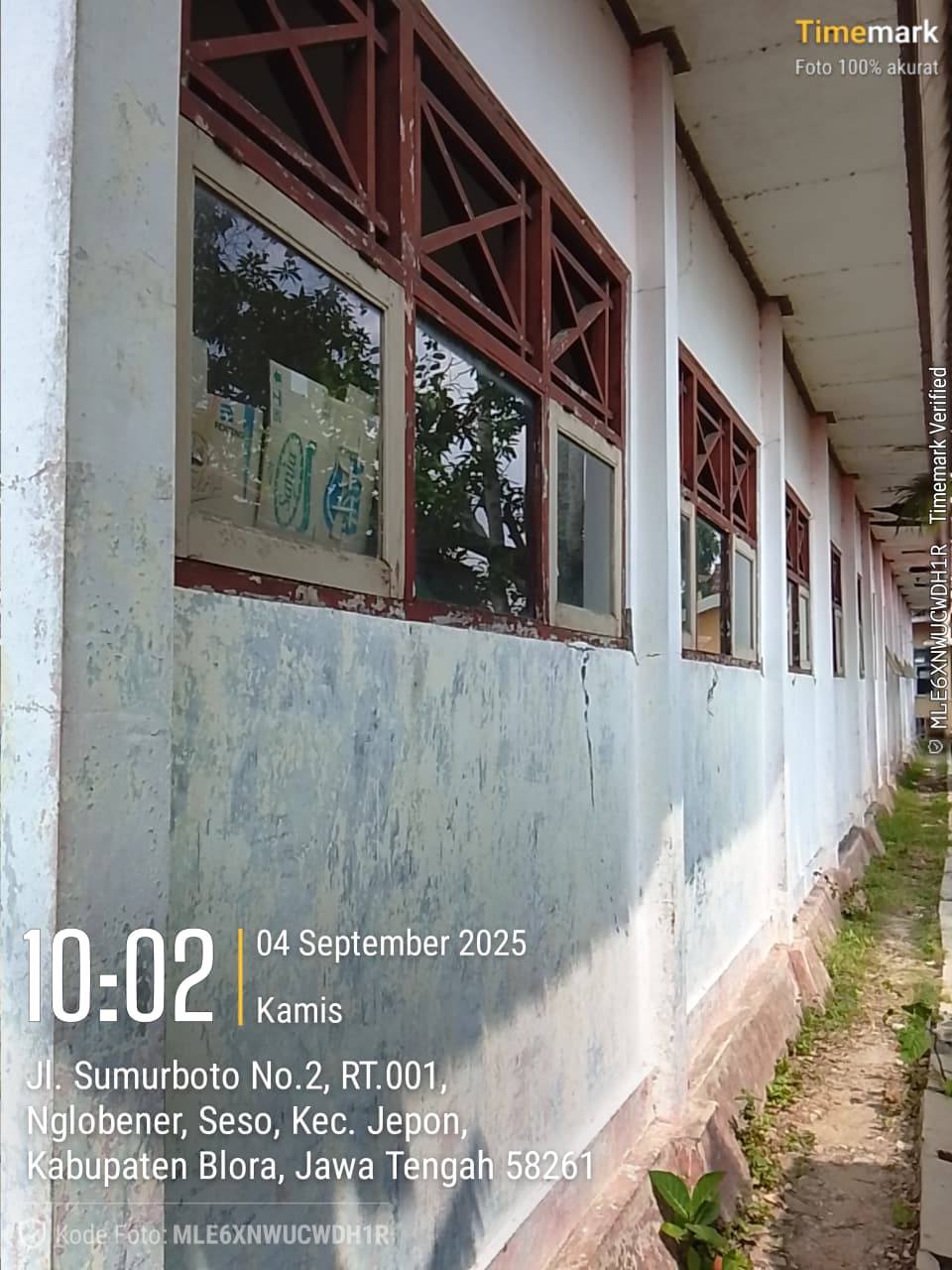 Tampak Belakang