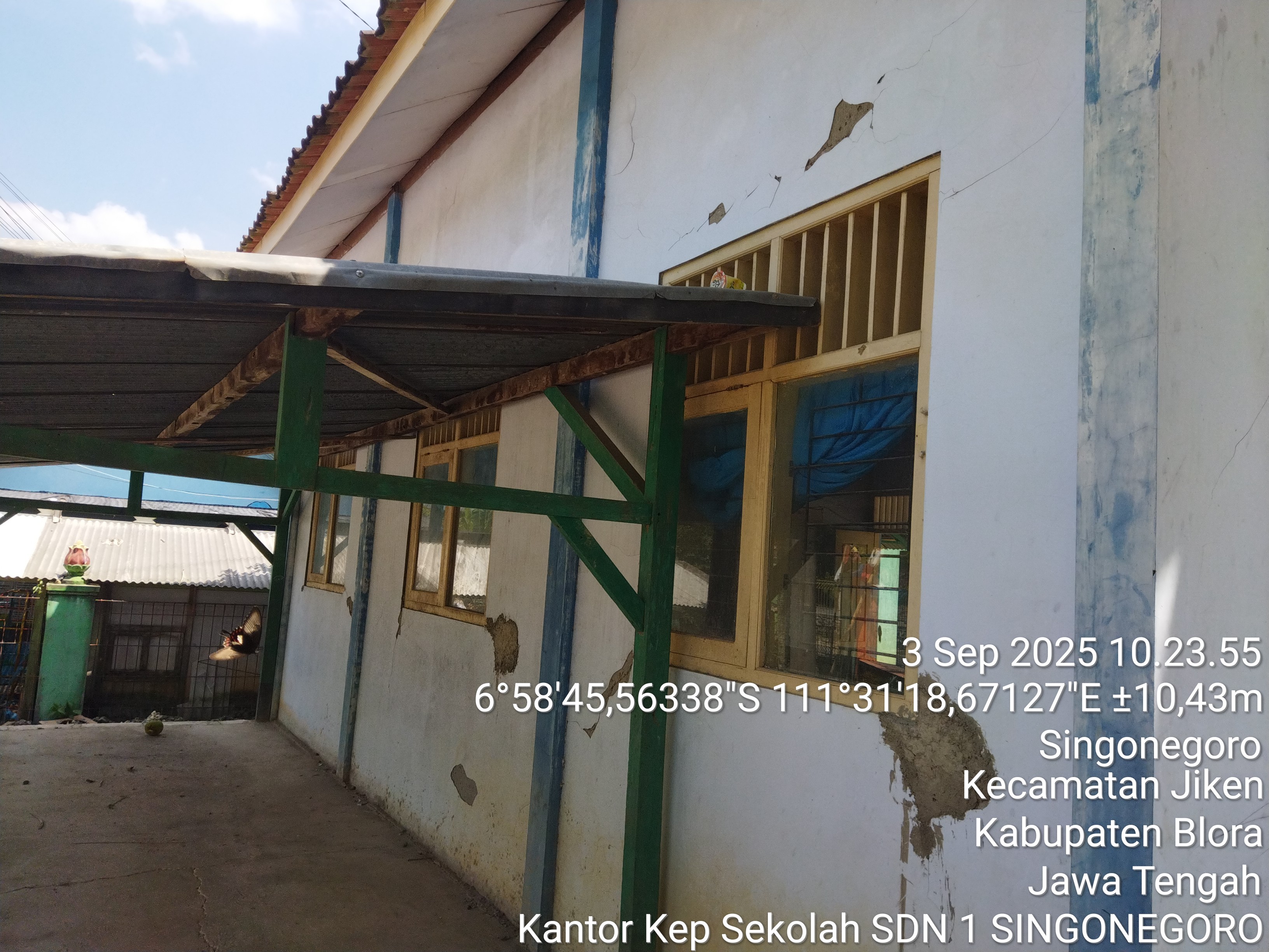 Tampak Belakang