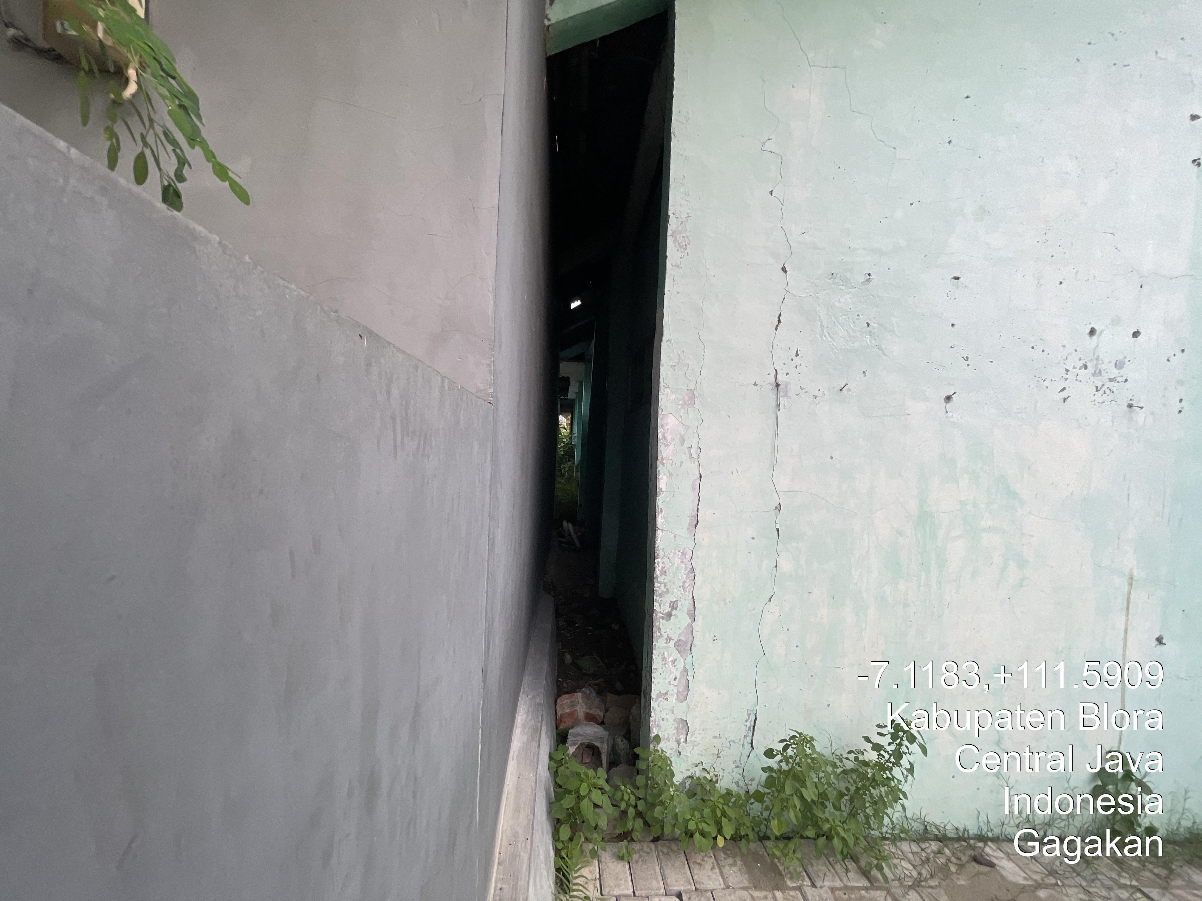 Tampak Belakang