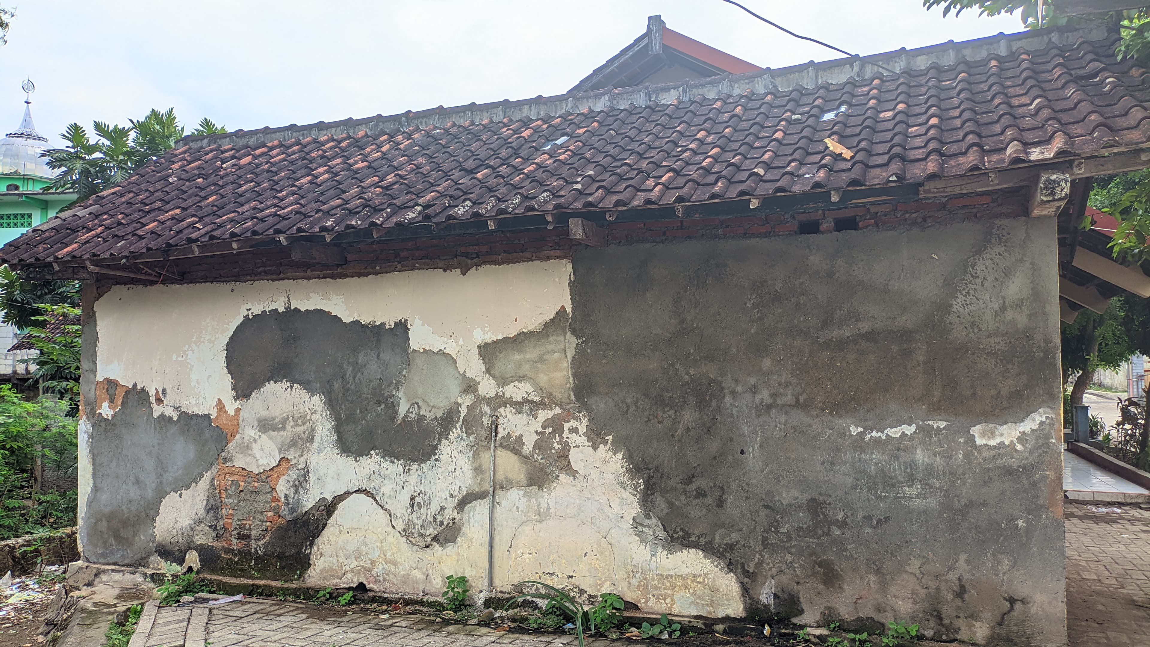 Tampak Belakang