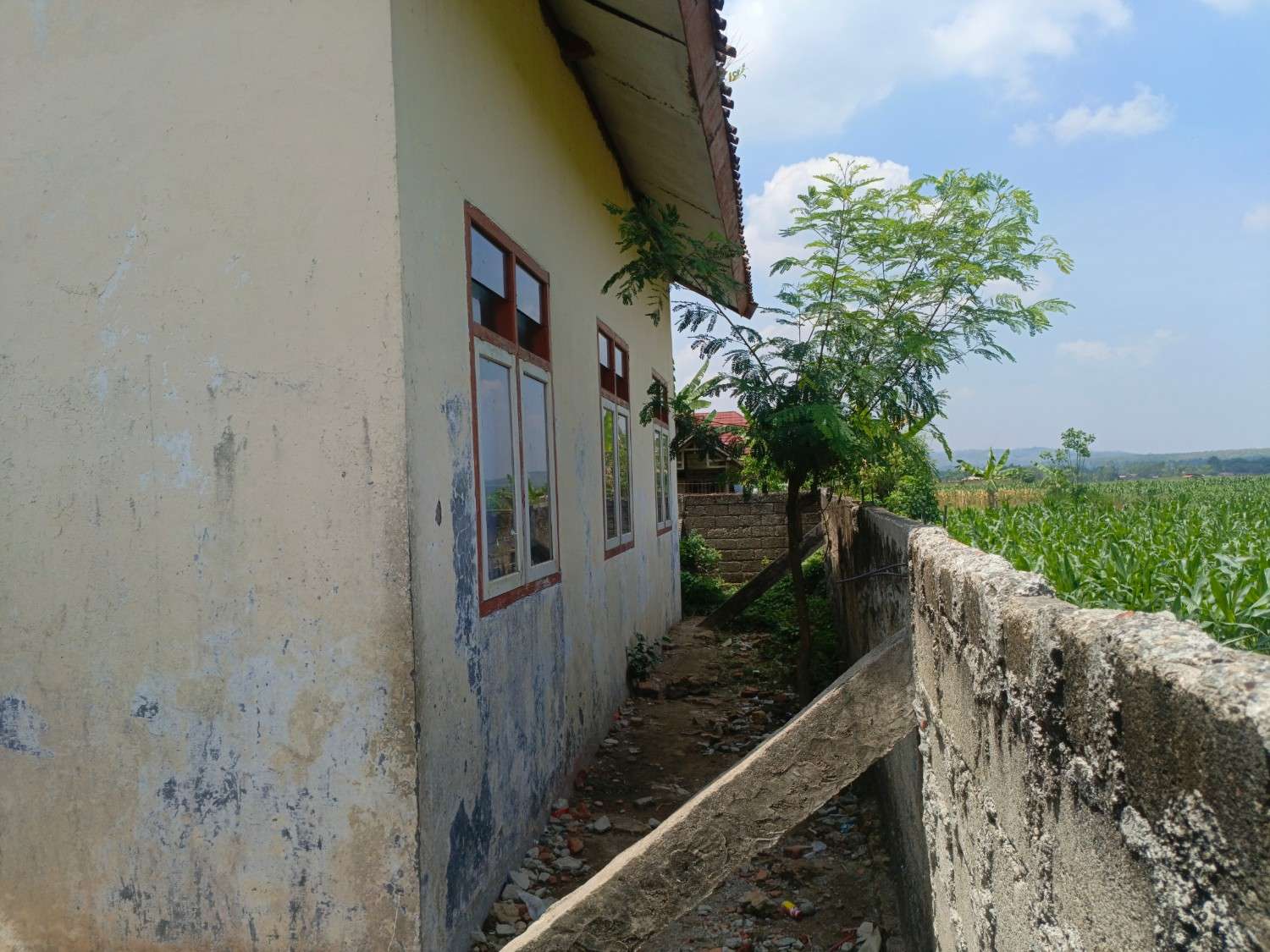 Tampak Belakang