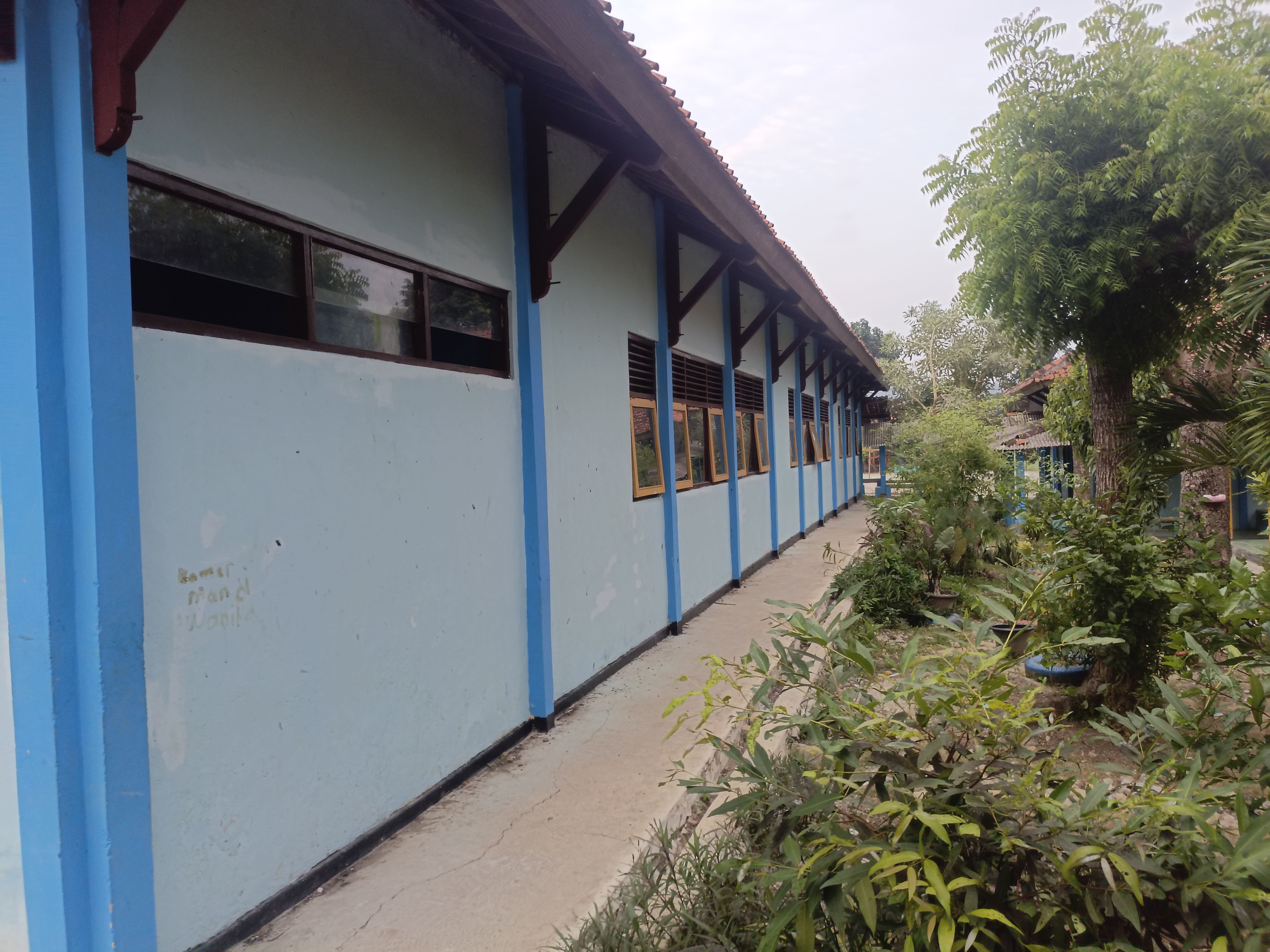 Tampak Belakang