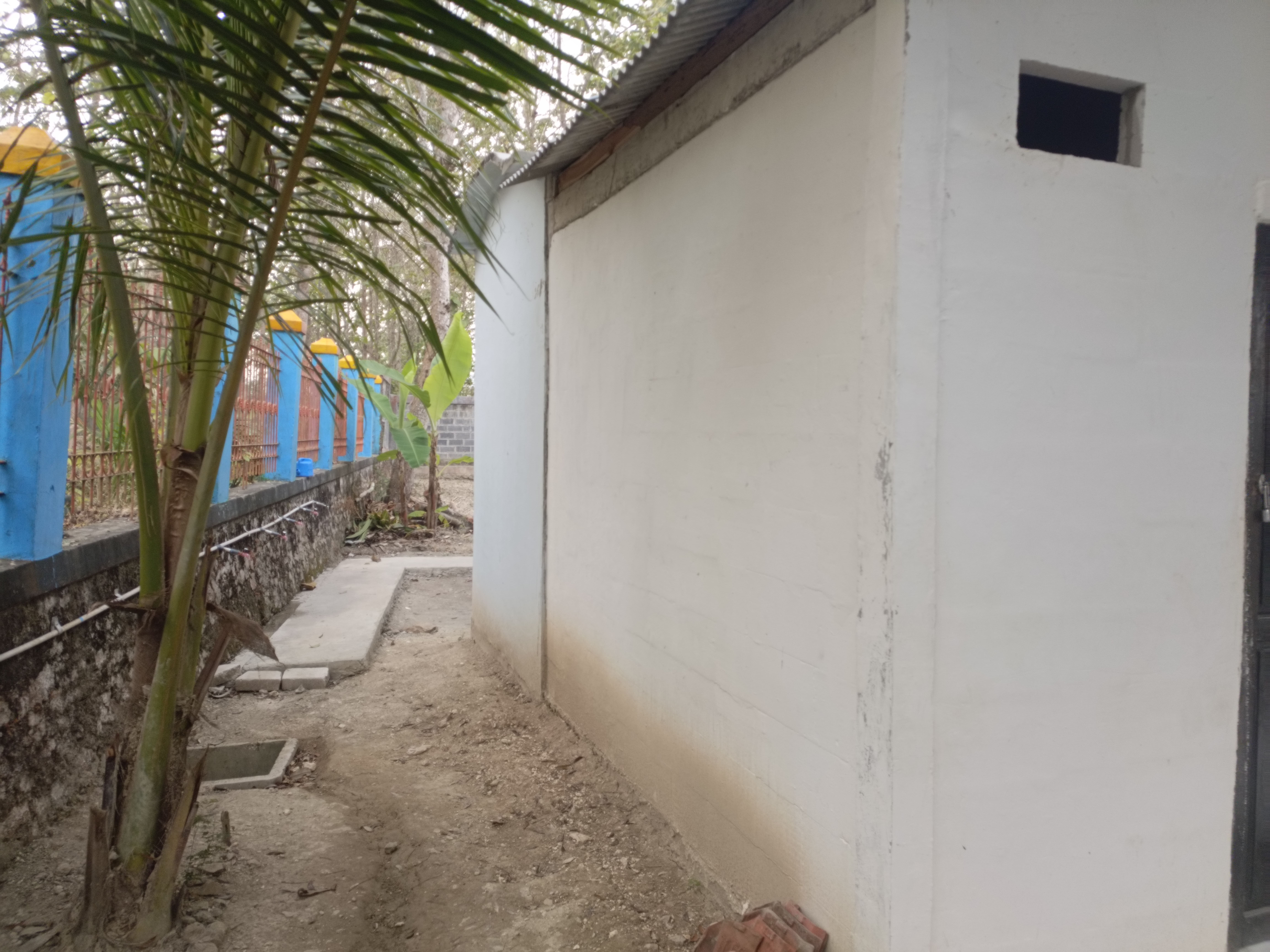 Tampak Belakang