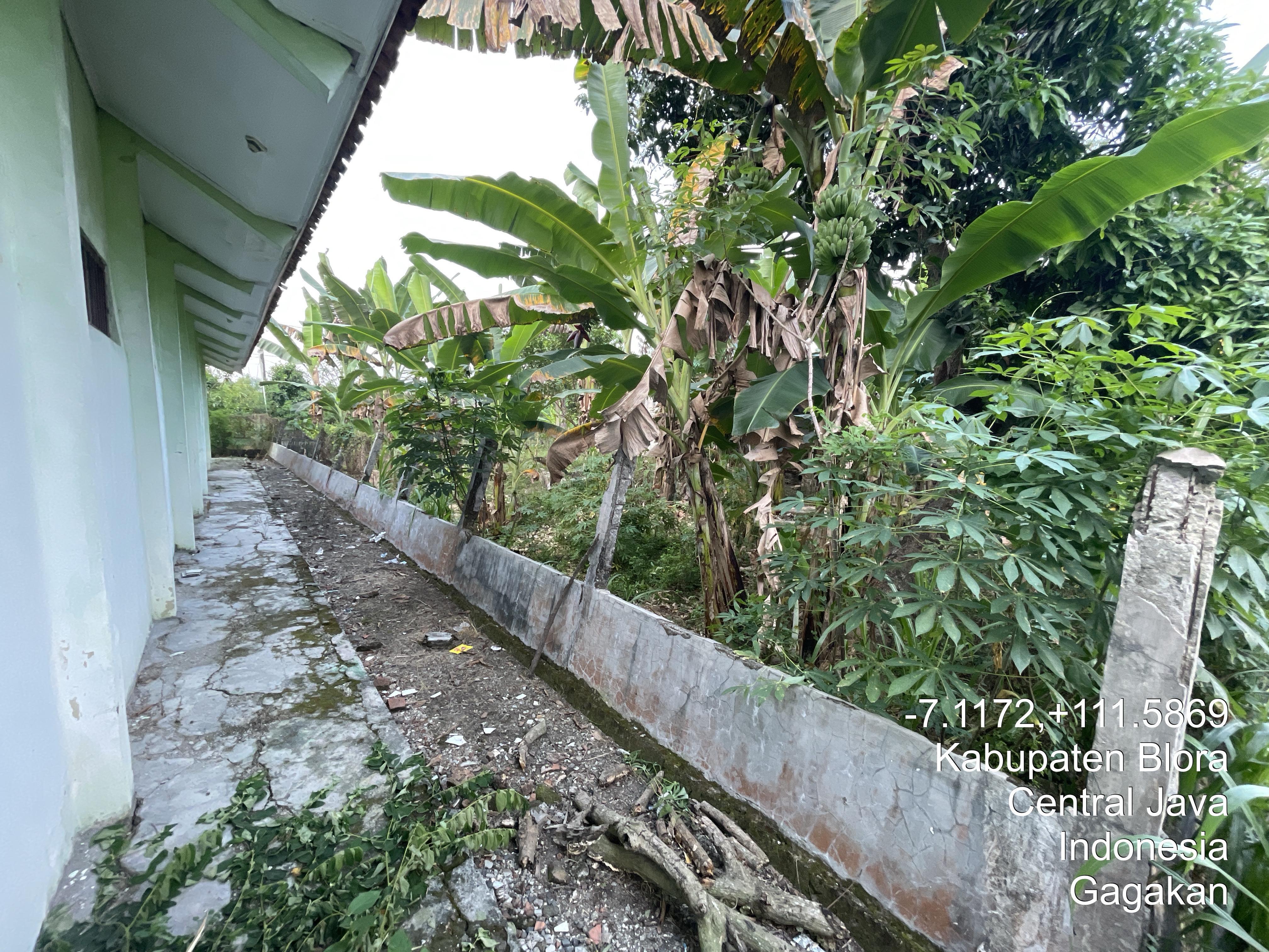 Tampak Belakang