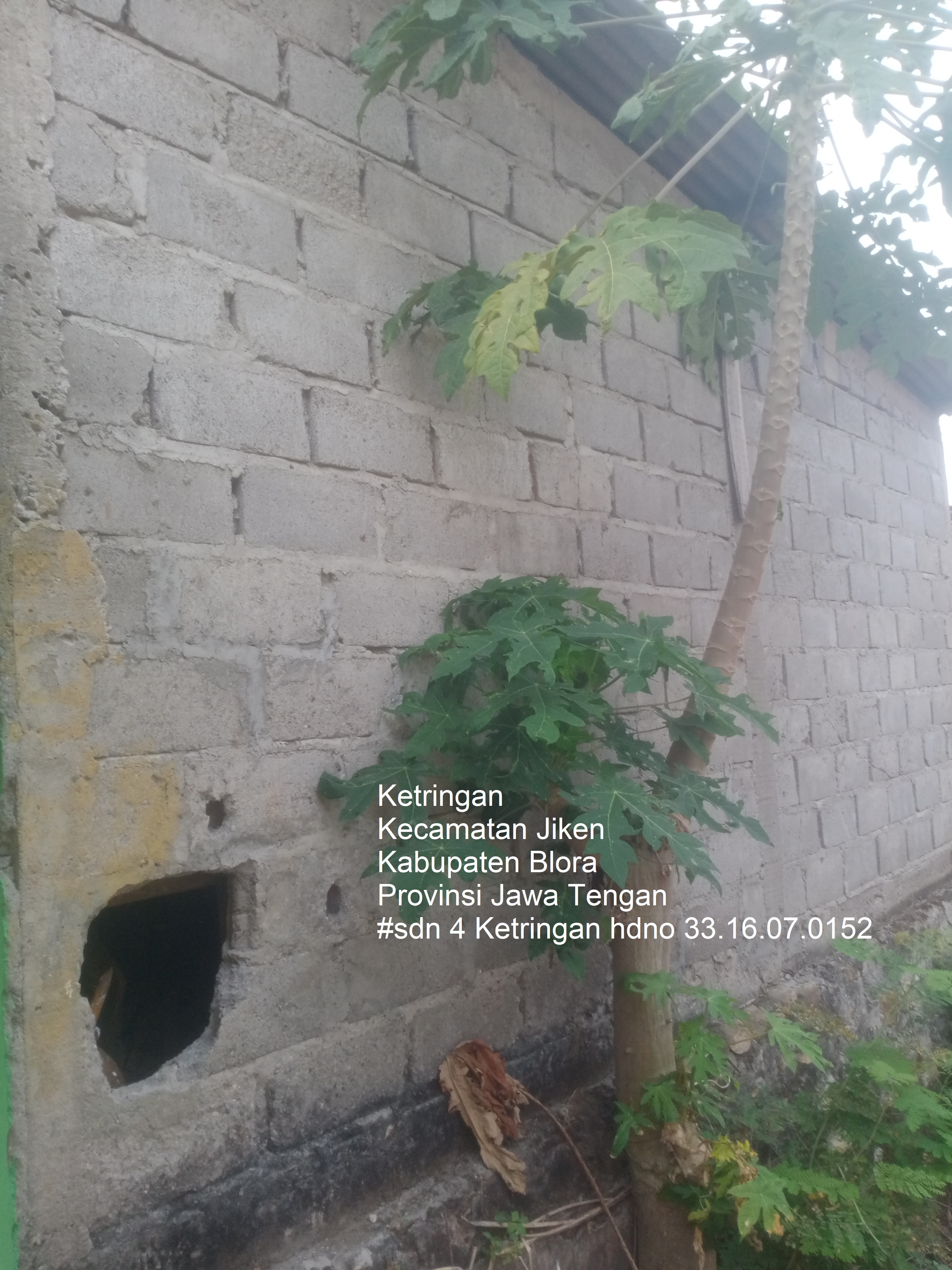 Tampak Belakang