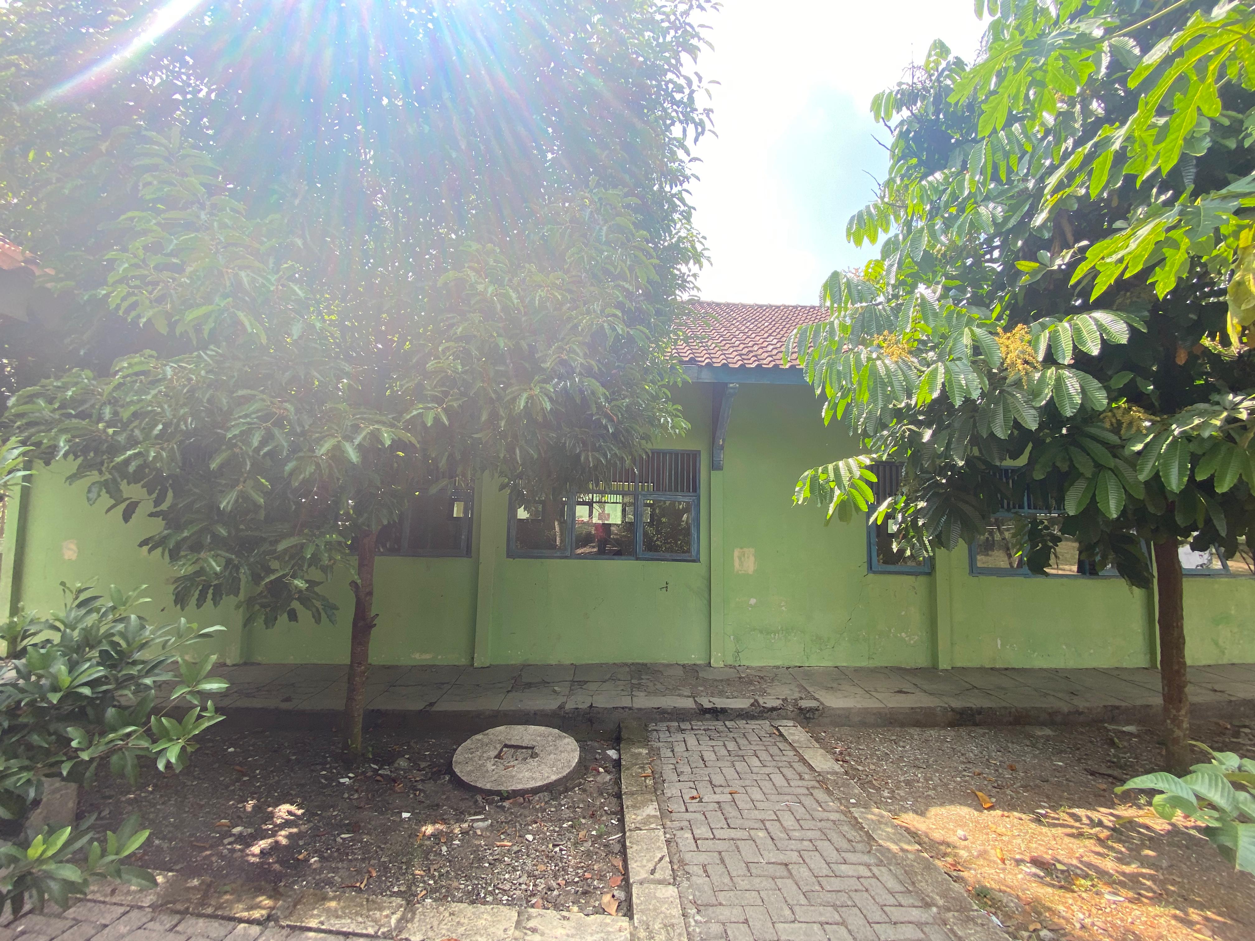 Tampak Belakang