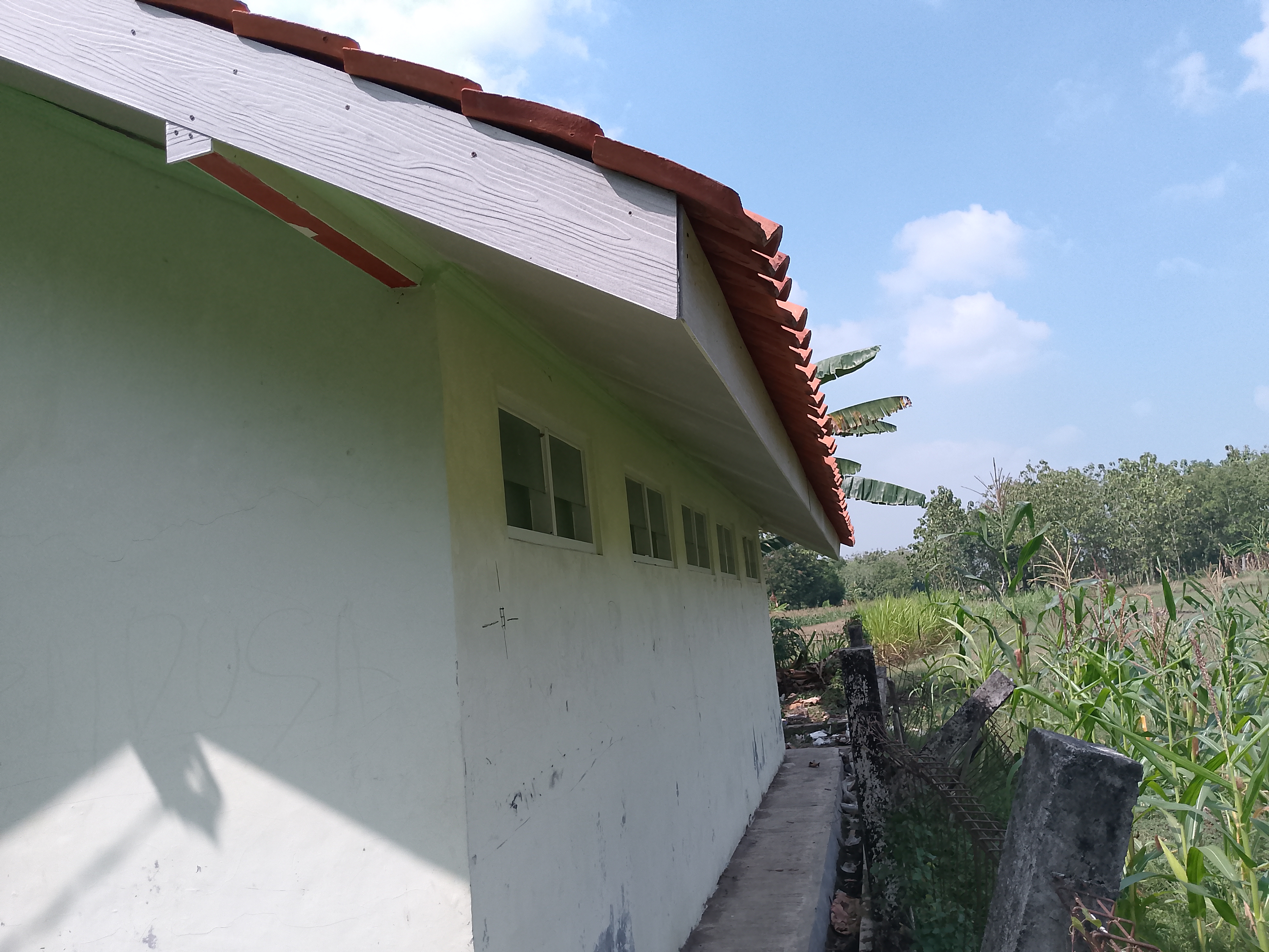 Tampak Belakang