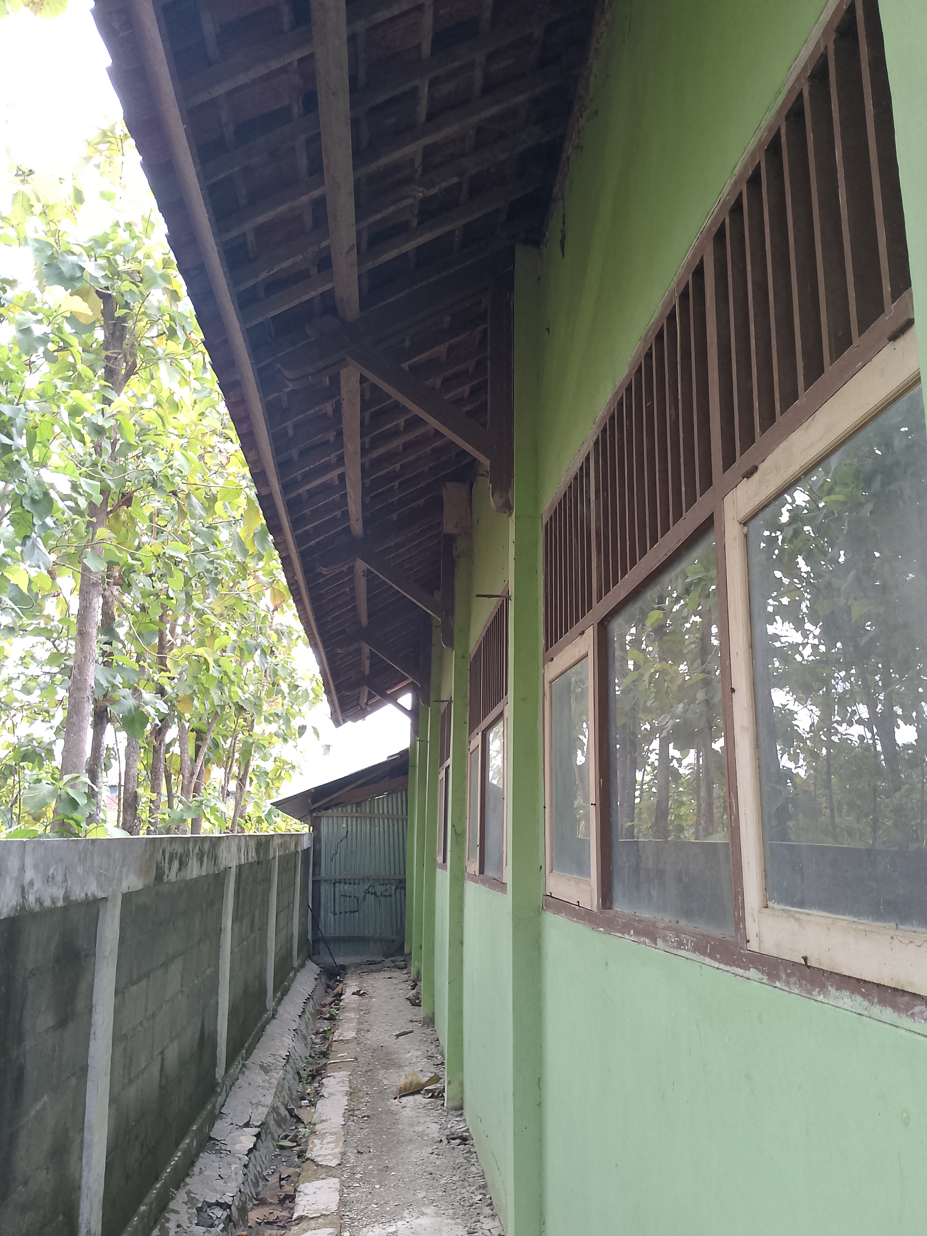 Tampak Belakang
