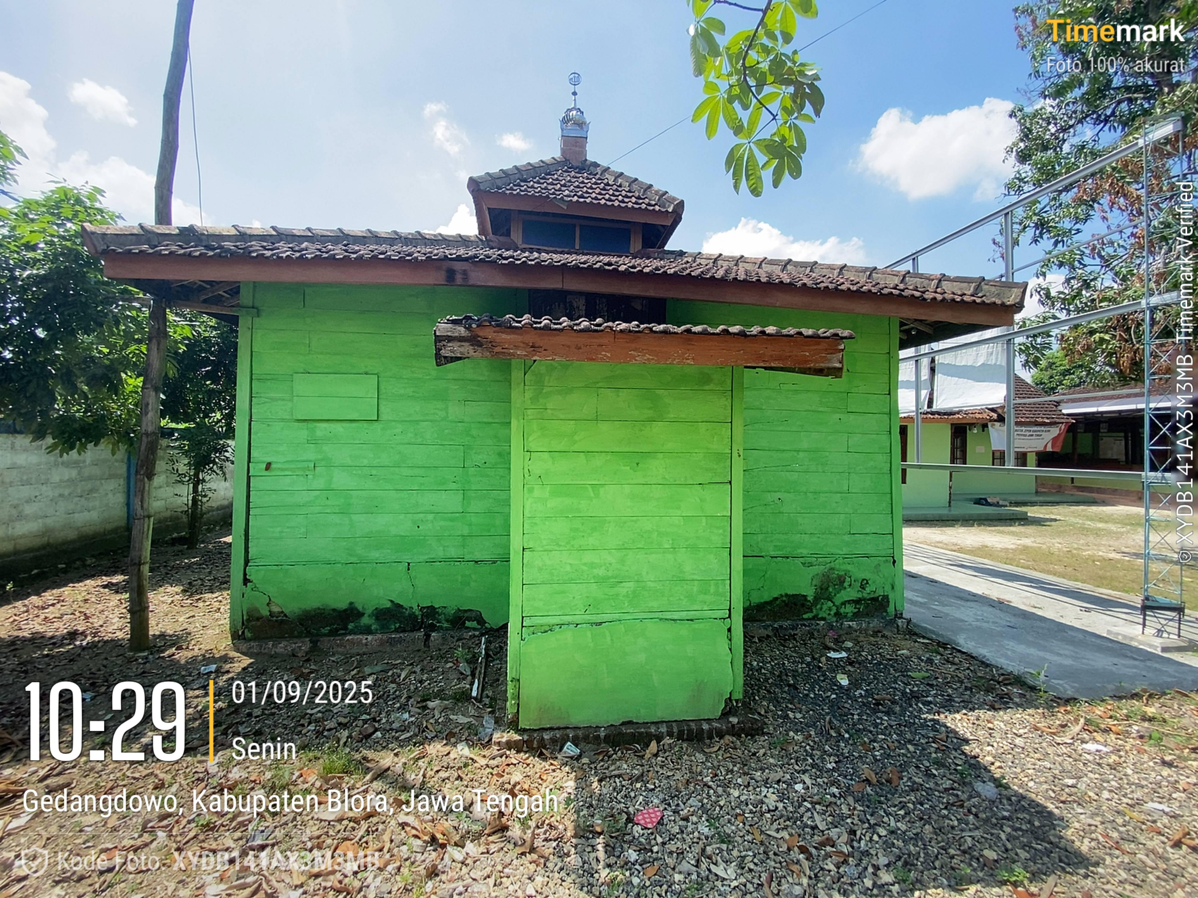 Tampak Belakang