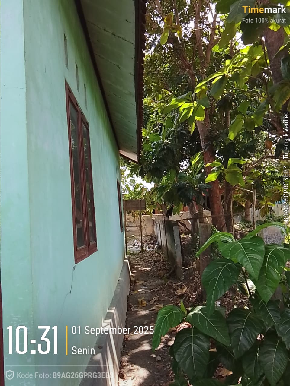 Tampak Belakang