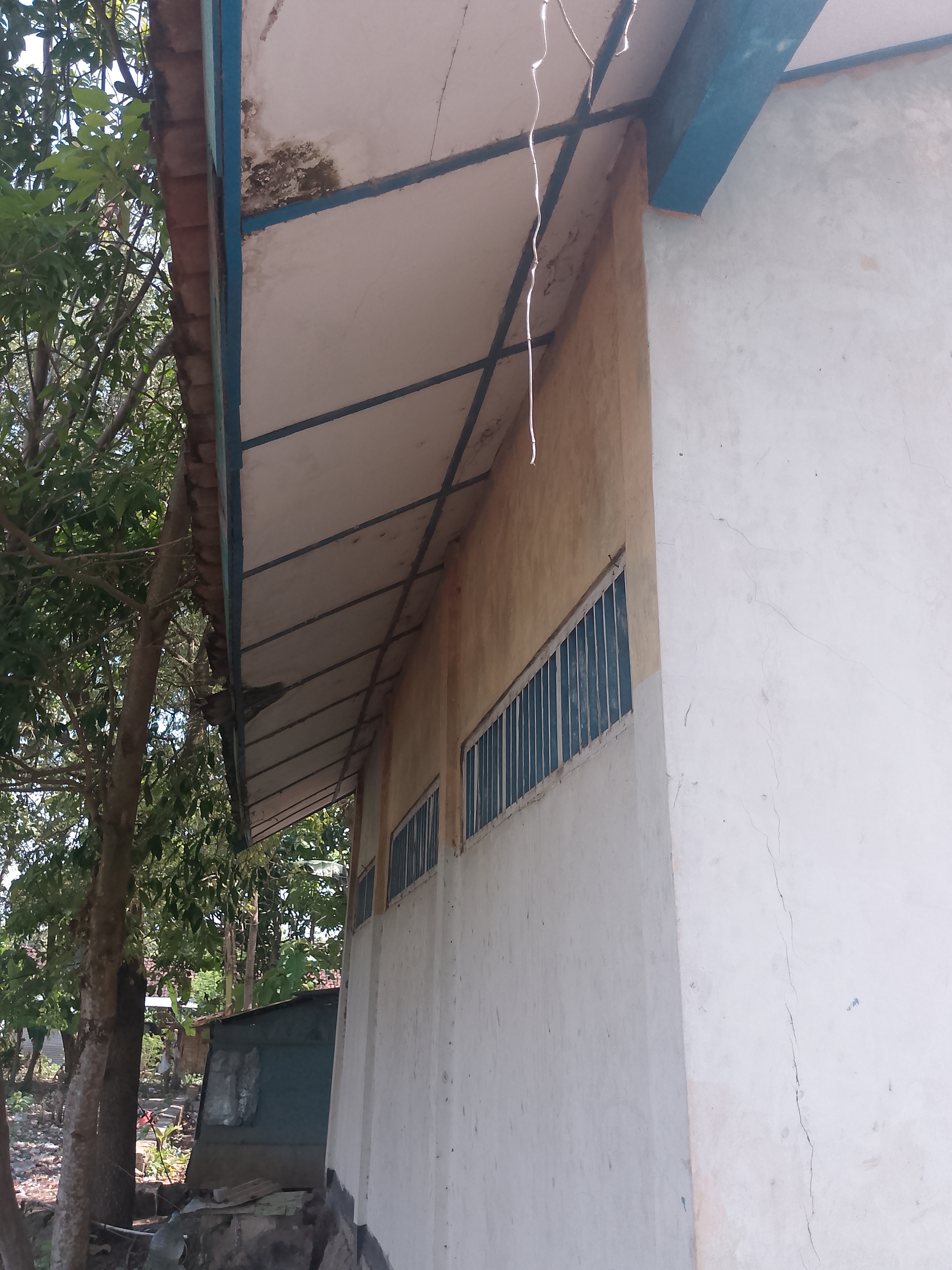 Tampak Belakang