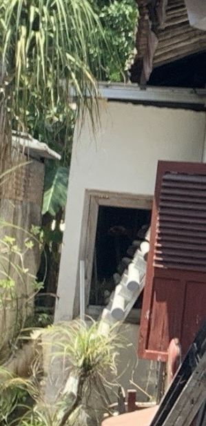 Tampak Belakang