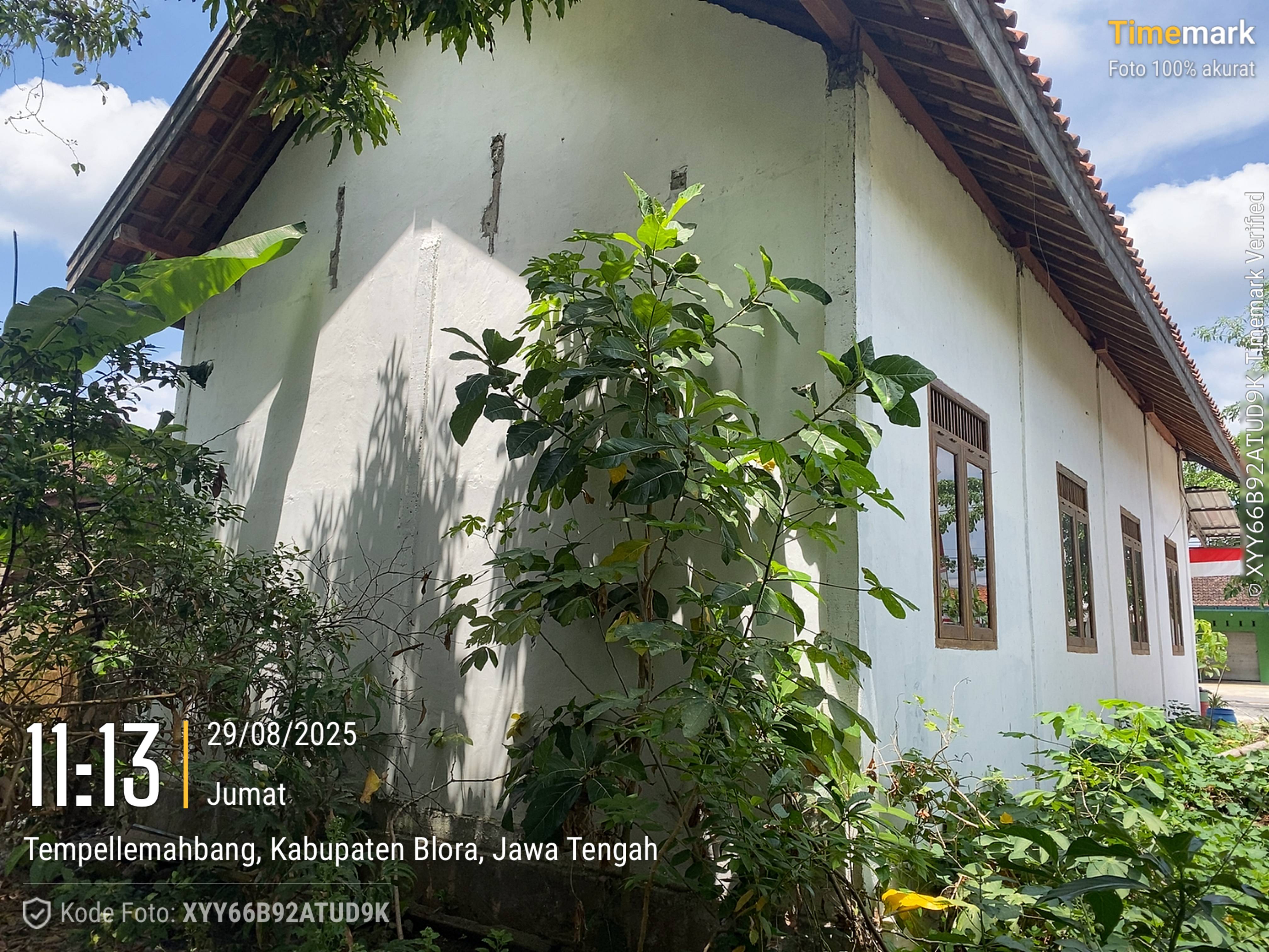 Tampak Belakang