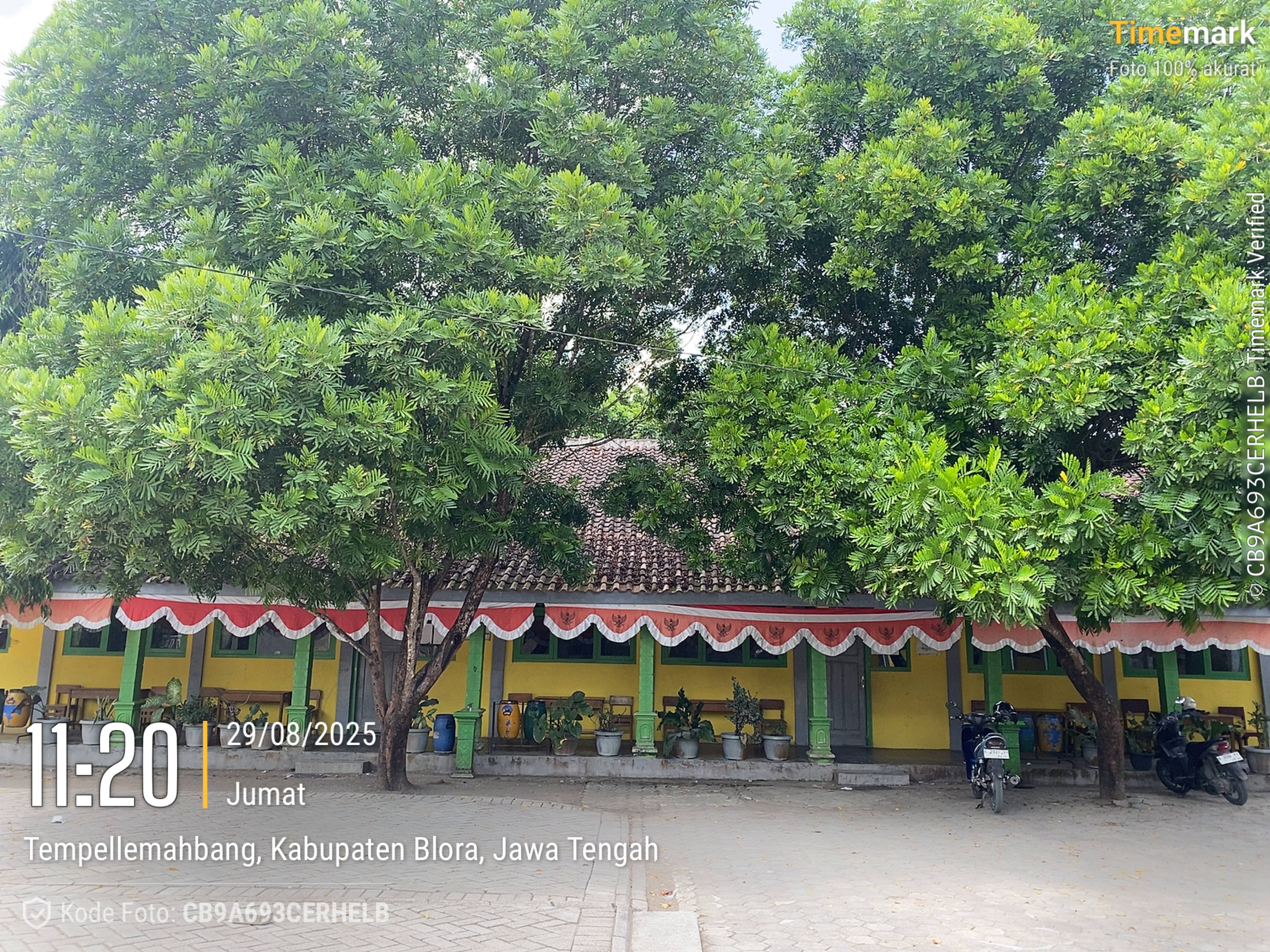 Tampak Depan