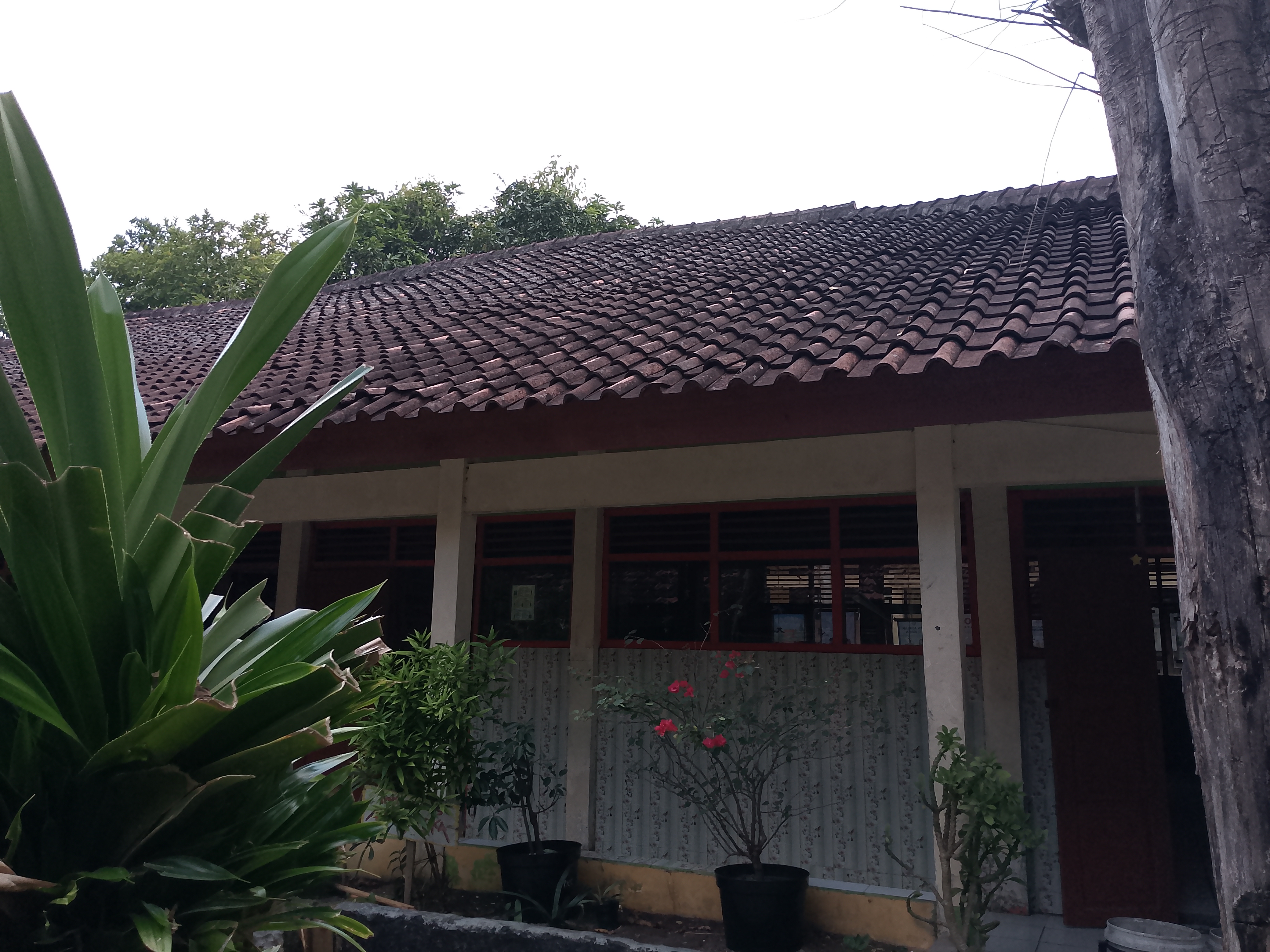 Tampak Depan
