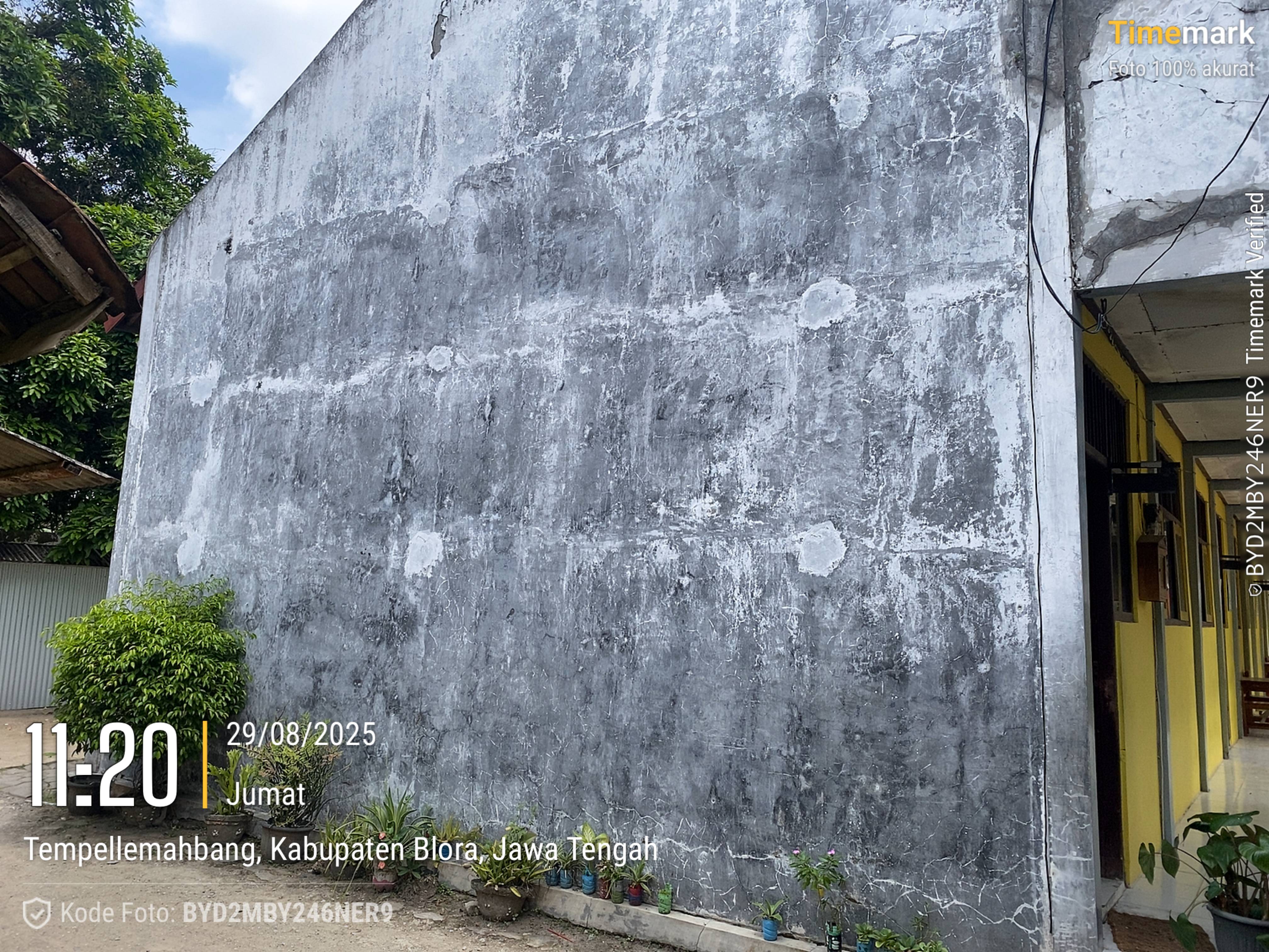 Tampak Samping 1