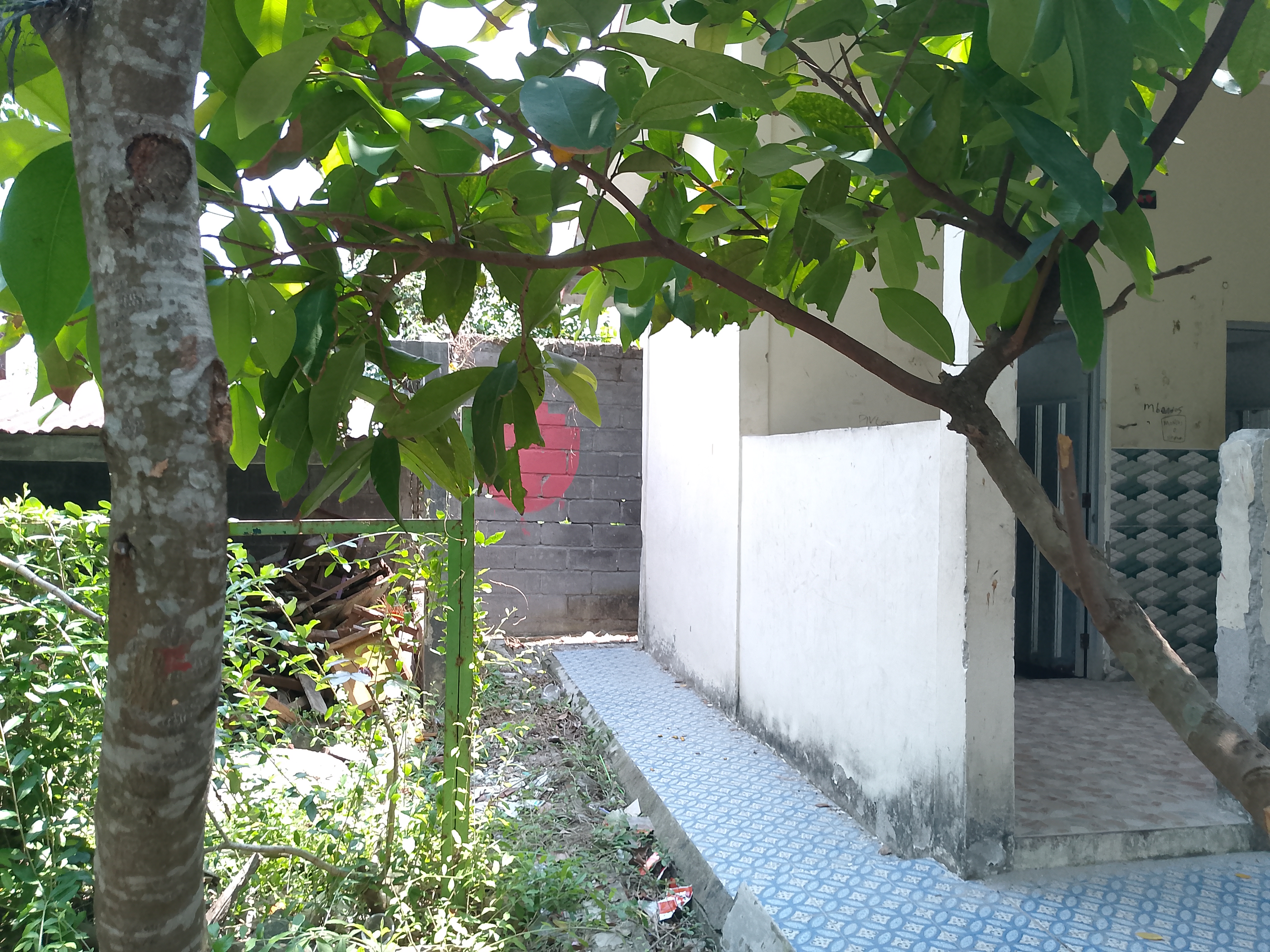 Tampak Samping 2