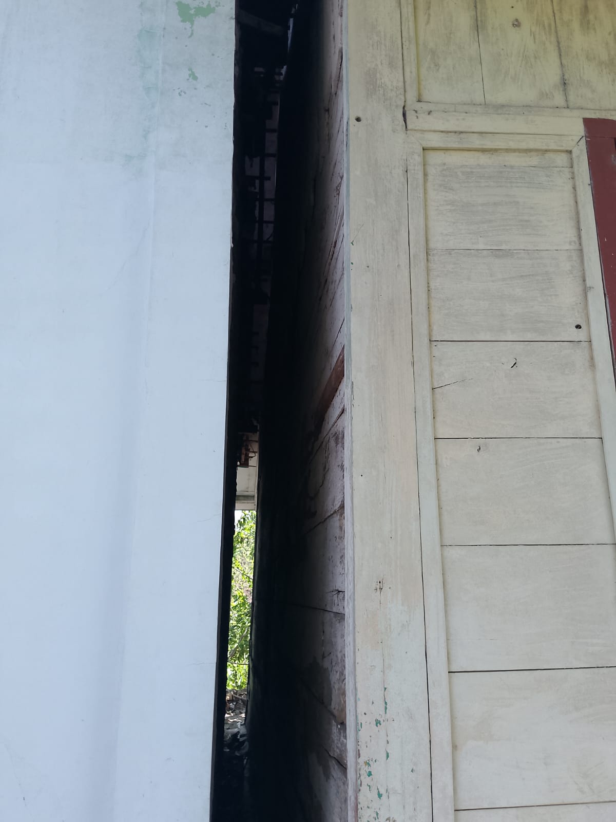 Tampak Samping 2